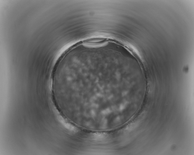X0000092011125200709131529