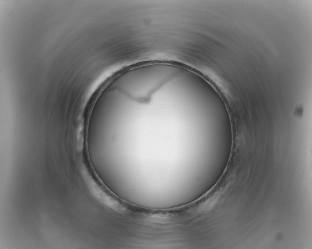 X0000092011126200709131529
