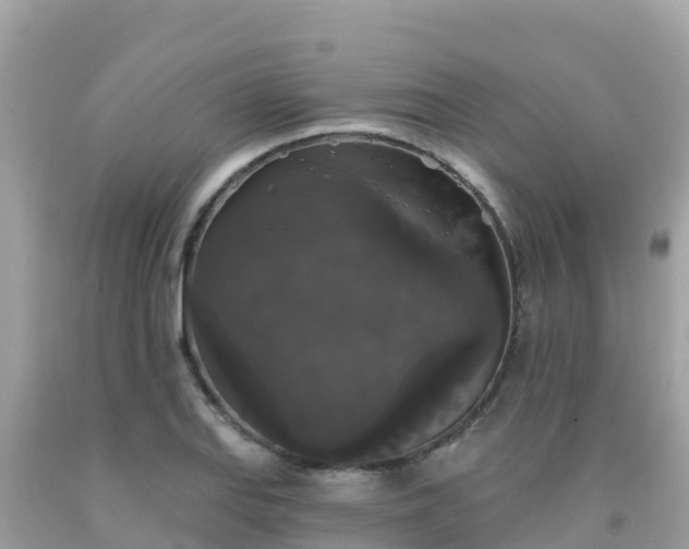 X0000092011127200709131529