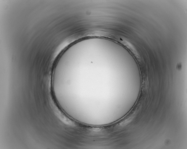 X0000092011130200709131529