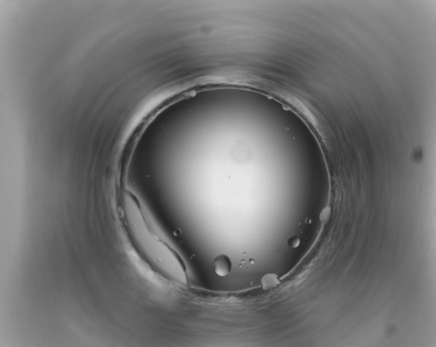 X0000092011131200709131529
