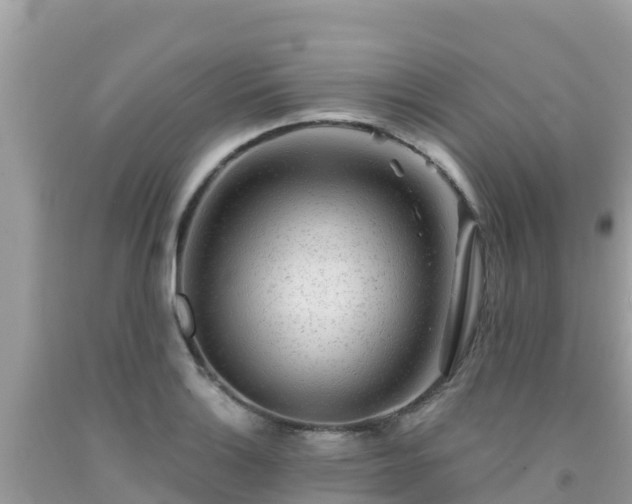X0000092011132200709131529