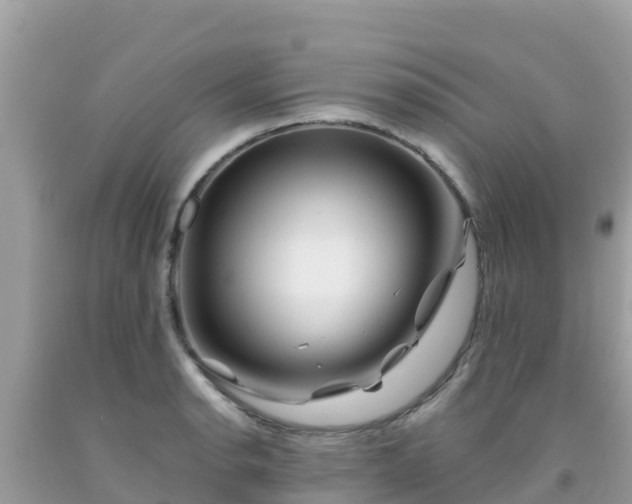 X0000092011134200709131529