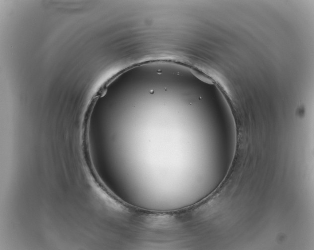 X0000092011135200709131529