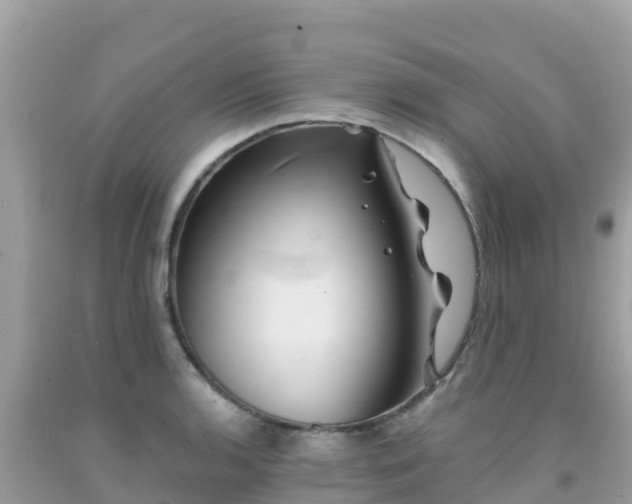X0000092011136200709131529