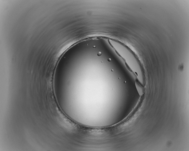X0000092011137200709131529