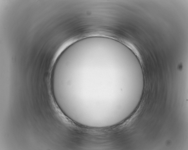 X0000092011138200709131529