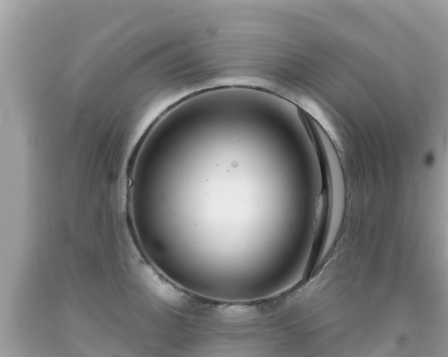 X0000092011140200709131529