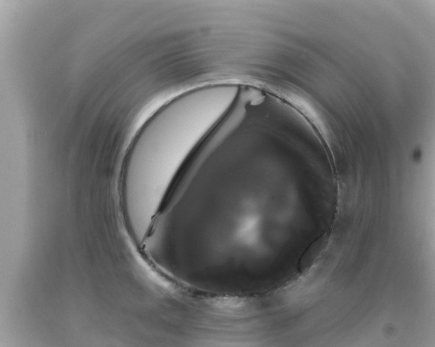X0000092011141200709131529