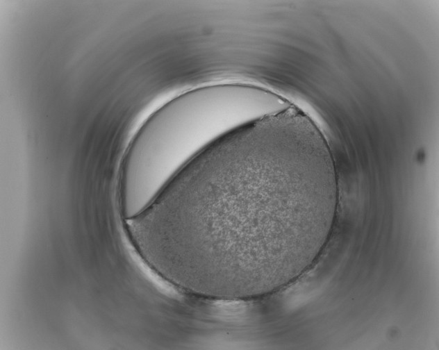 X0000092011142200709131529