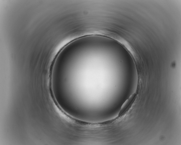 X0000092011143200709131529