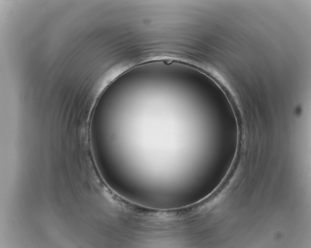 X0000092011145200709131529