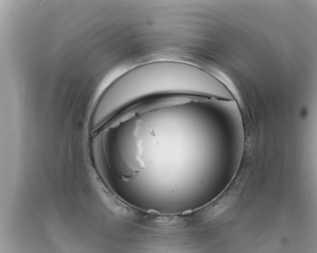 X0000092011146200709131529