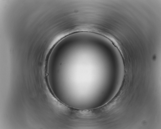 X0000092011147200709131529