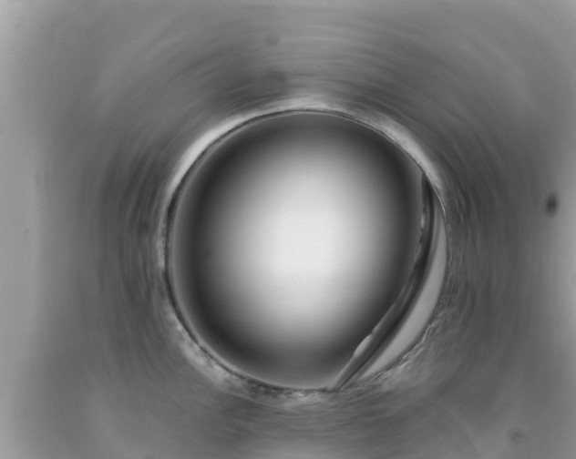 X0000092011148200709131529
