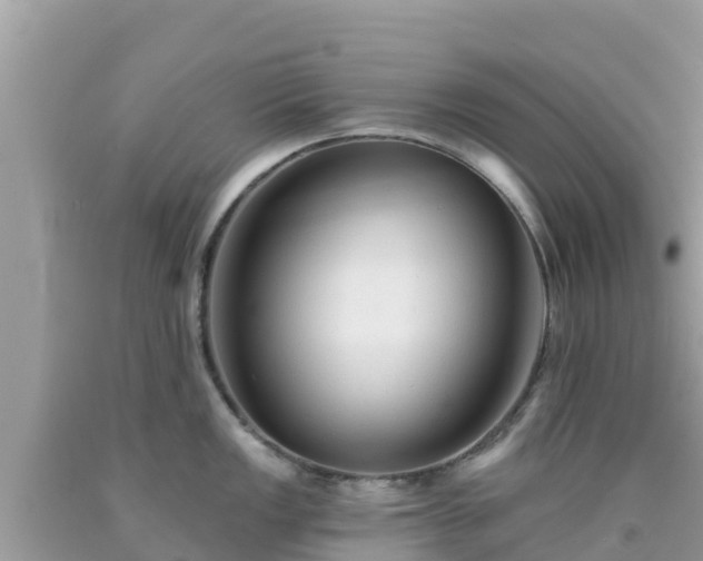 X0000092011149200709131529