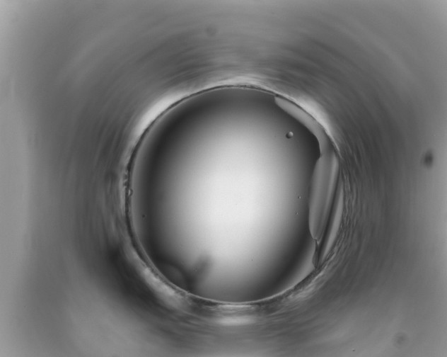 X0000092011151200709131529