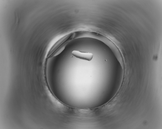 X0000092011152200709131529