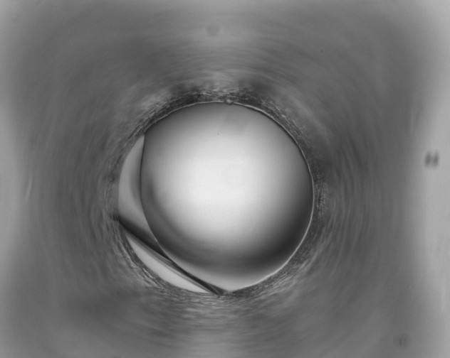 X0000092011153200709131528