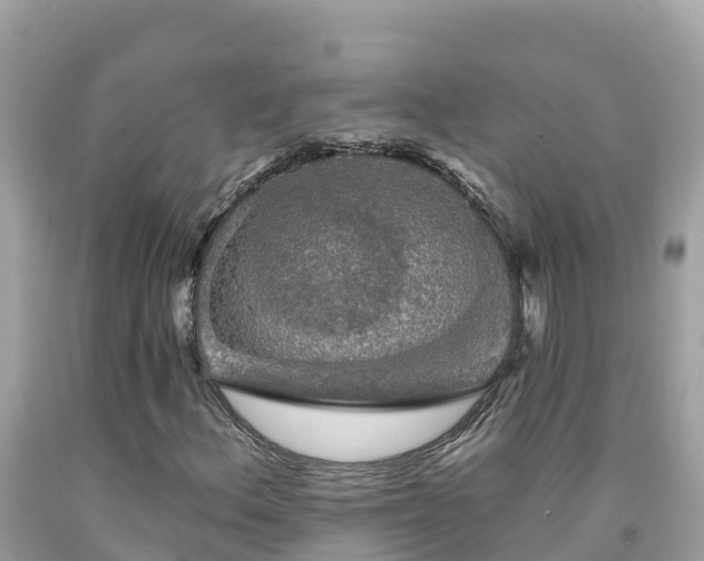 X0000092011156200709131528