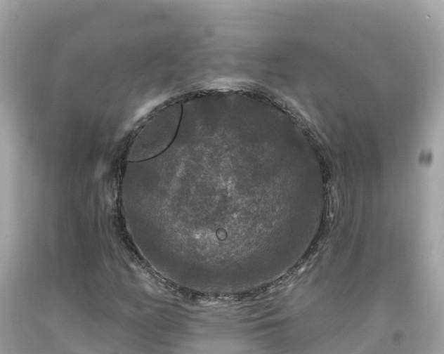 X0000092011158200709131528