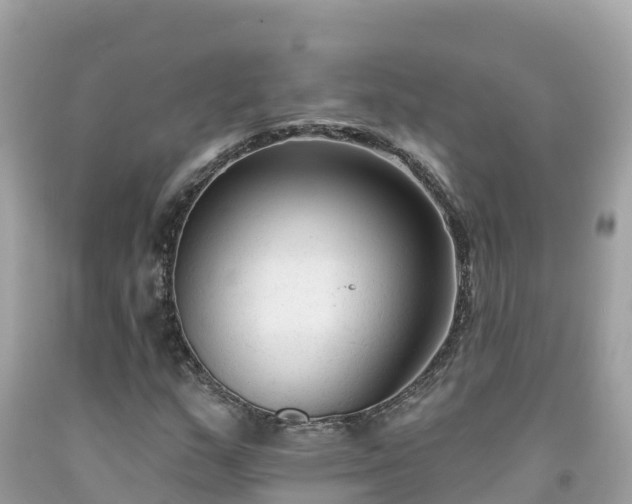 X0000092011159200709131528