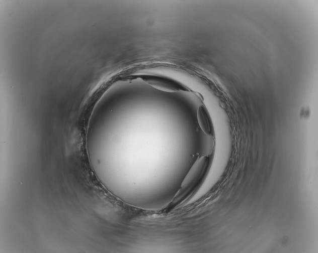 X0000092011160200709131528