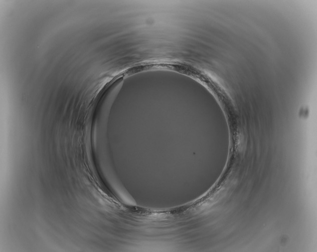 X0000092011161200709131528
