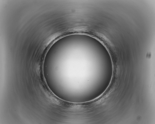 X0000092011162200709131528
