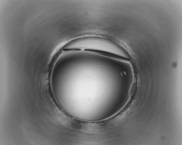 X0000092011164200709131528