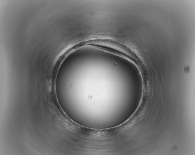 X0000092011165200709131528