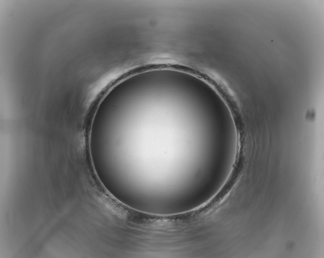 X0000092011167200709131528