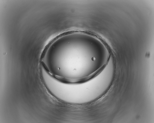 X0000092011168200709131528