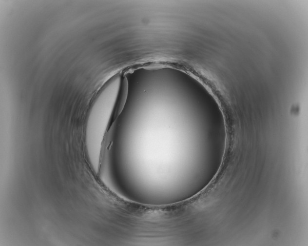 X0000092011169200709131528