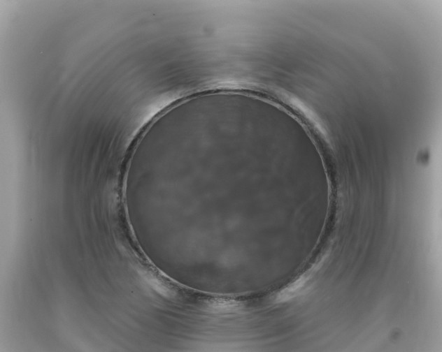X0000092011170200709131528
