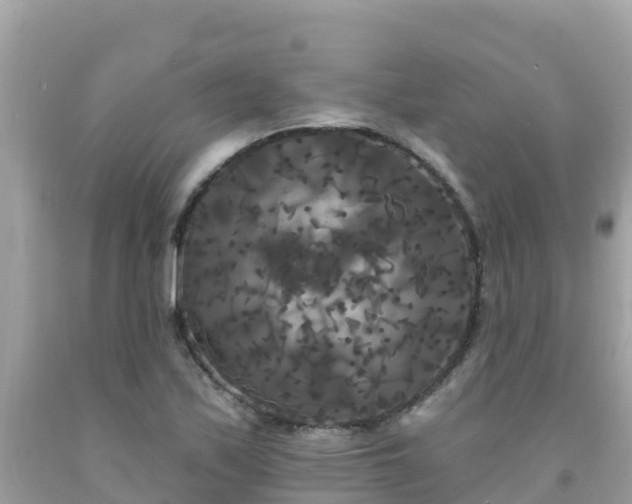 X0000092011171200709131528