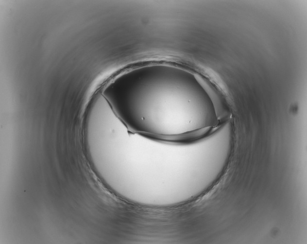 X0000092011172200709131528