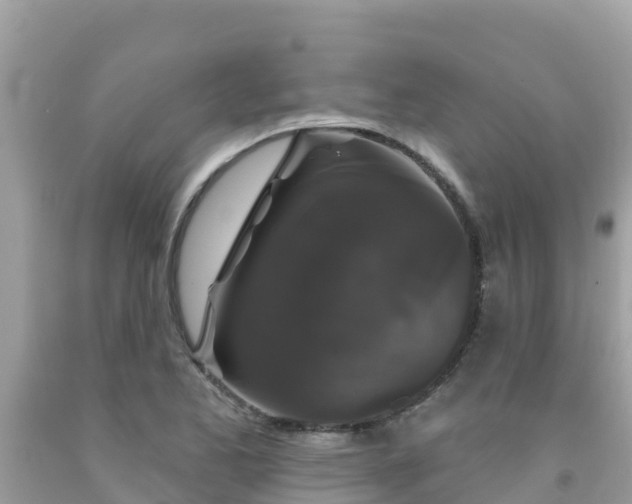 X0000092011173200709131528
