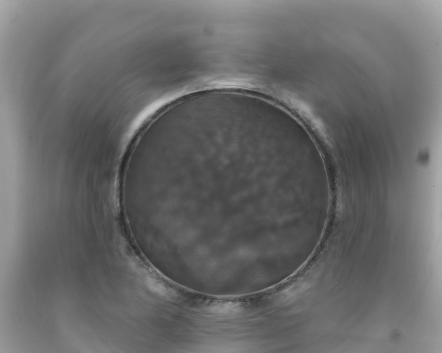 X0000092011174200709131528