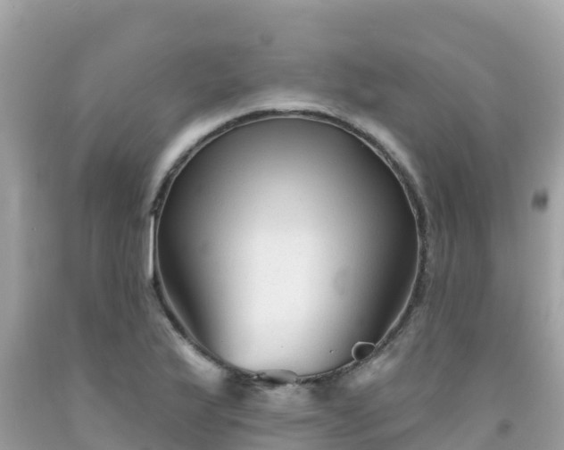 X0000092011175200709131528