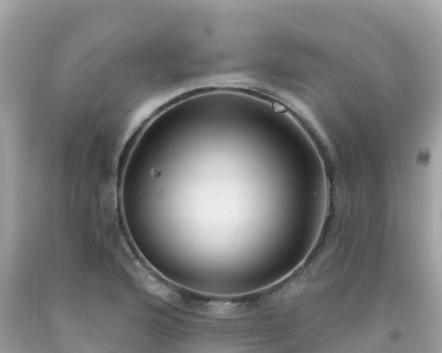 X0000092011176200709131528