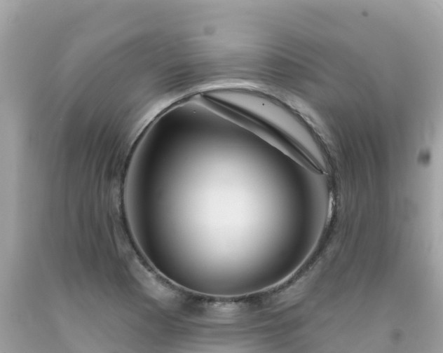 X0000092011177200709131528