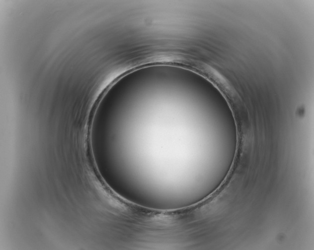 X0000092011178200709131528