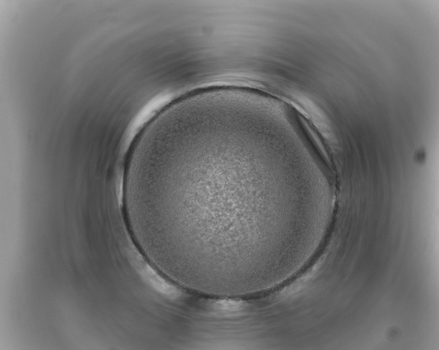X0000092011180200709131528