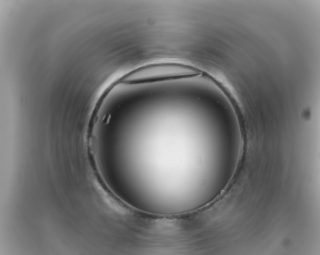 X0000092011181200709131528