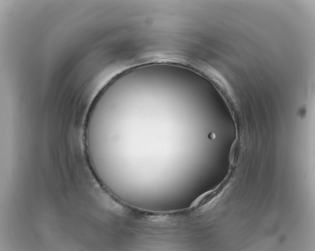 X0000092011182200709131528