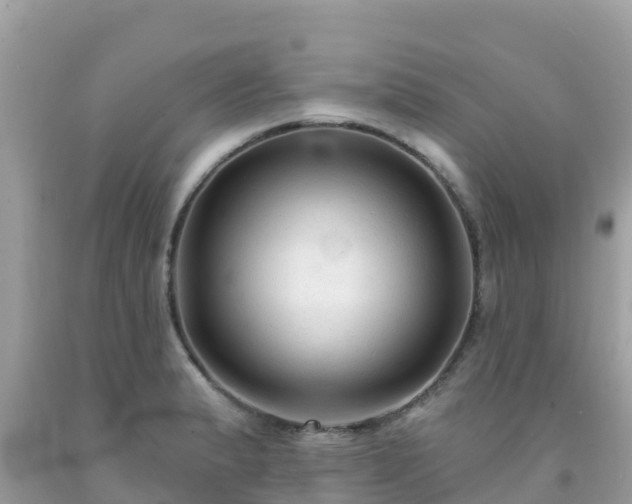 X0000092011183200709131528