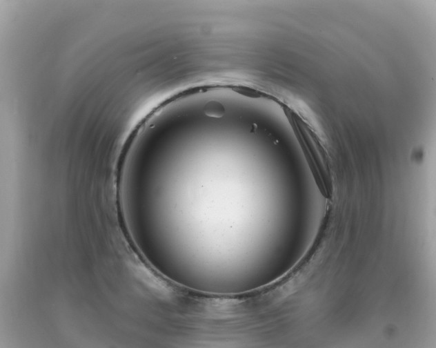 X0000092011184200709131528