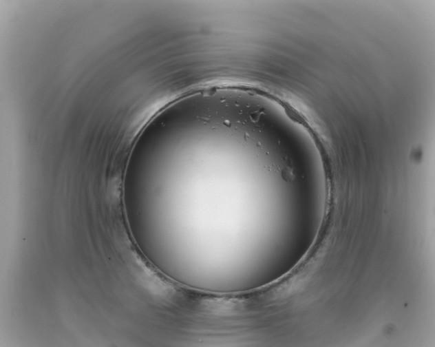X0000092011185200709131528