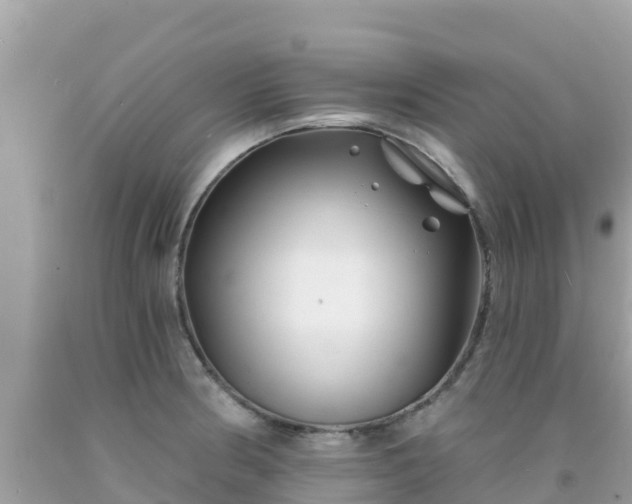 X0000092011186200709131528